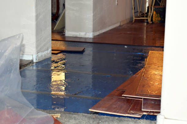 Professional Water Extraction technician working in Coldspring, TX